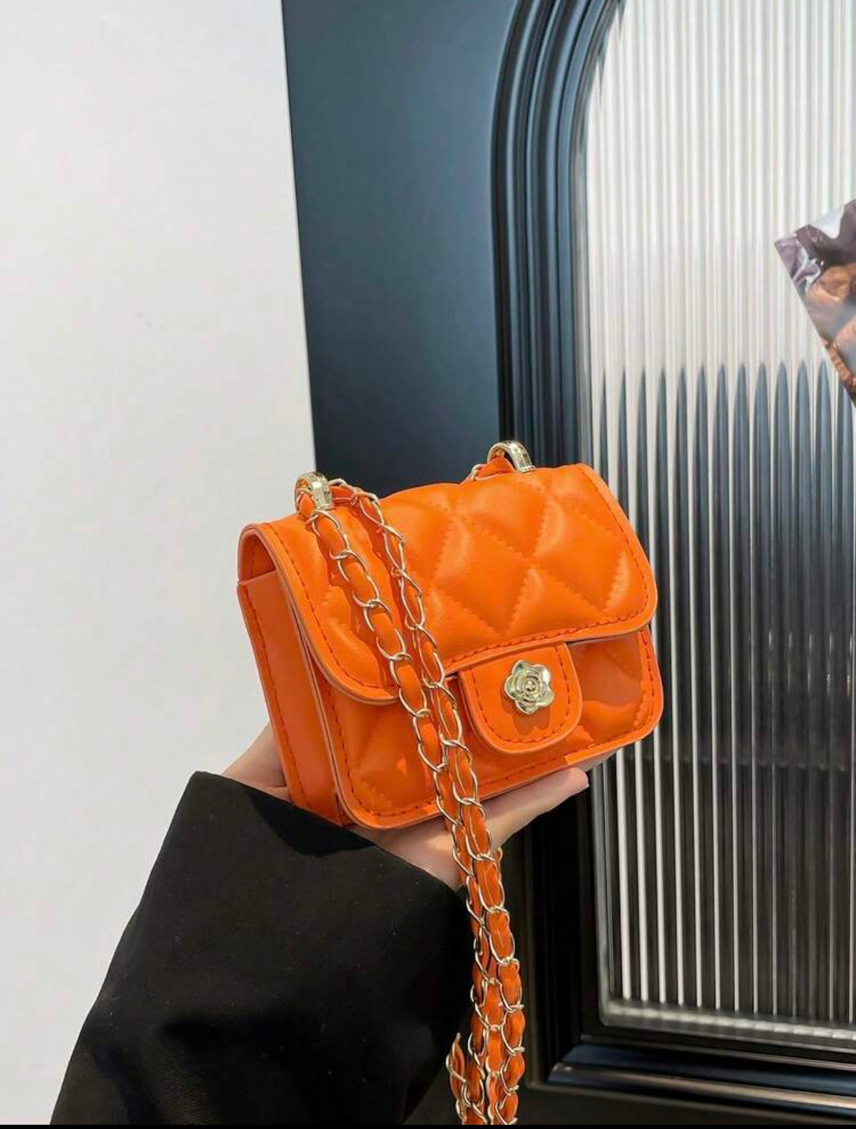 Mini Fashion Purse