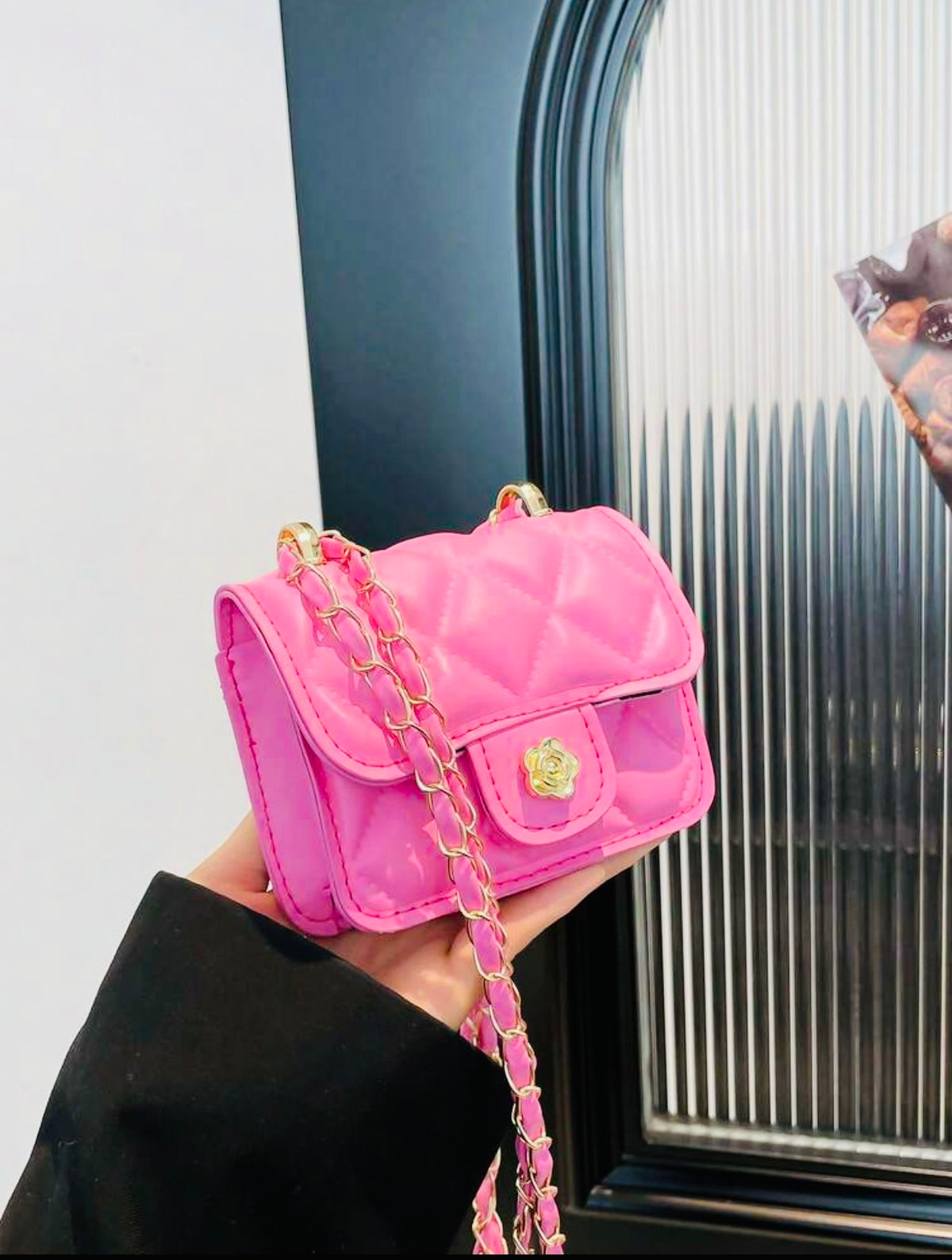 Mini Fashion Purse